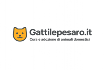 Gattilepesaro.it
